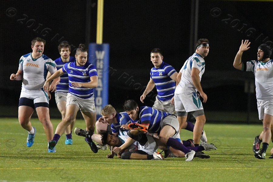 Wheaton College Men\'s Rugby vs Salve Regina. - Photo By: KEITH NORDSTROM